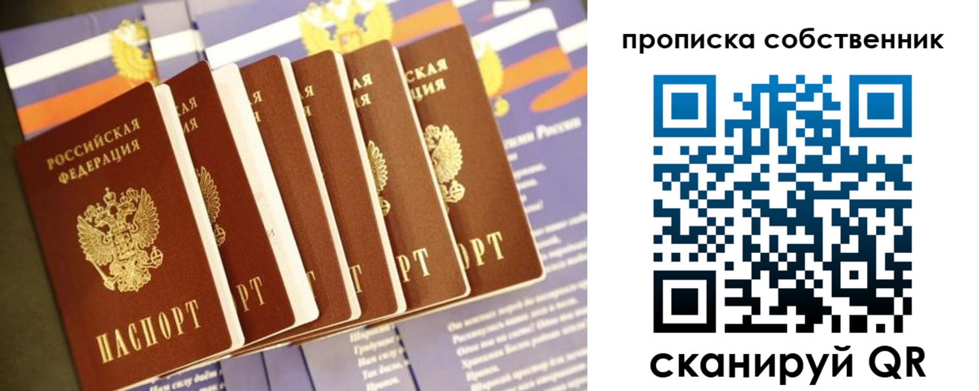 прописка ребенка в Пионерском